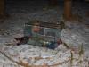 Thumbnail - Schlangenfund+im+Wald-02.03.2013 - FF Baar Schwaben