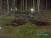 Thumbnail - Waldbrand+K%C3%BChnhausen-22.10.2006 - FF Baar Schwaben